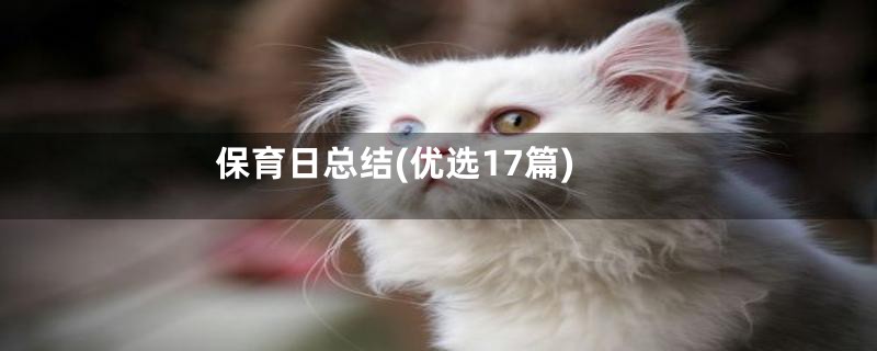 保育日总结(优选17篇)
