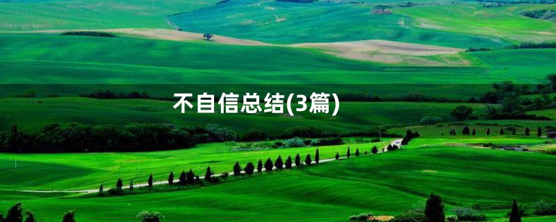 不自信总结(3篇)