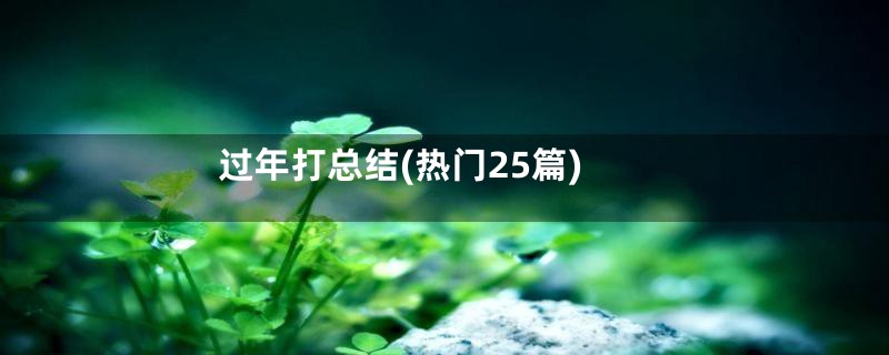 过年打总结(热门25篇)