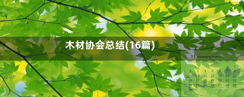 木材协会总结(16篇)