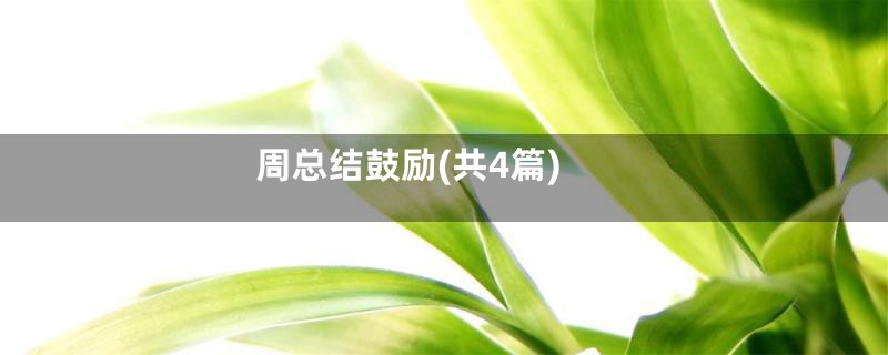 周总结鼓励(共4篇)