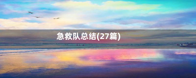 急救队总结(27篇)