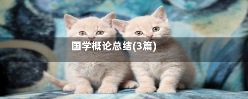 国学概论总结(3篇)