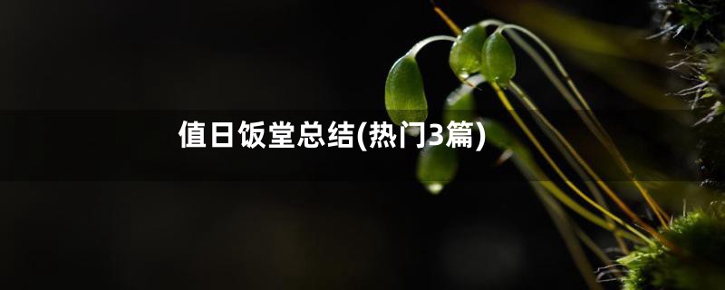 值日饭堂总结(热门3篇)