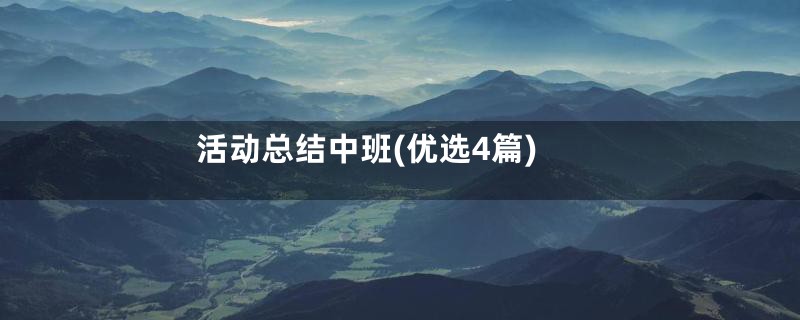 活动总结中班(优选4篇)