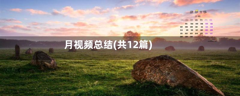 月视频总结(共12篇)