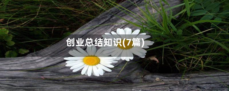 创业总结知识(7篇)
