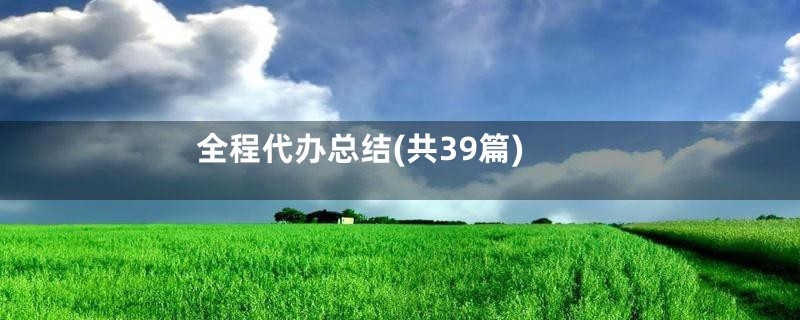 全程代办总结(共39篇)