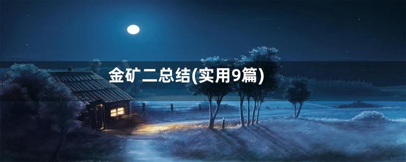 金矿二总结(实用9篇)