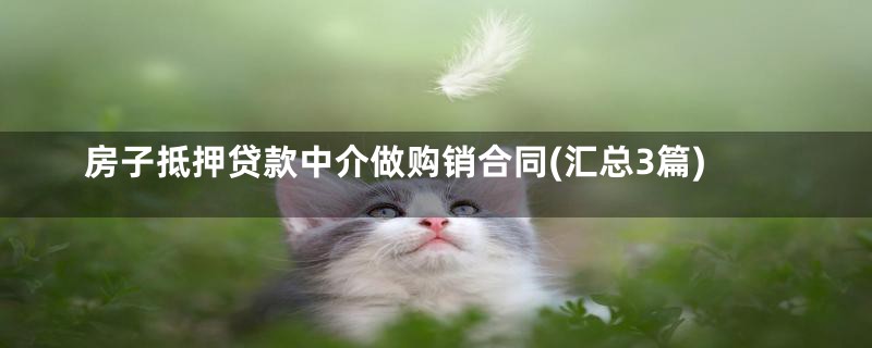 房子抵押贷款中介做购销合同(汇总3篇)