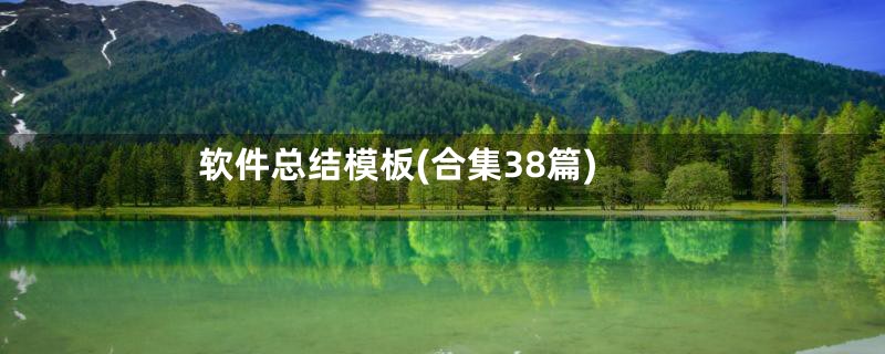 软件总结模板(合集38篇)