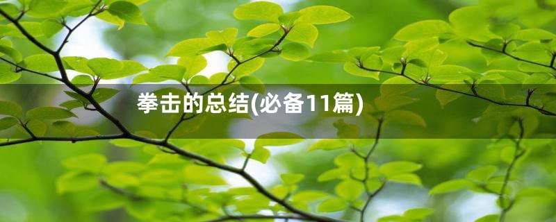 拳击的总结(必备11篇)