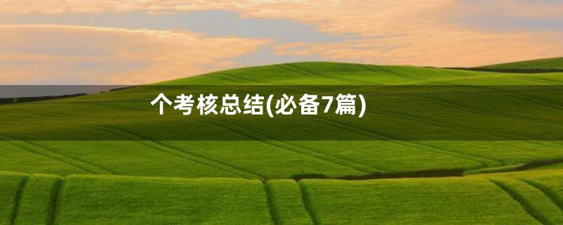 个考核总结(必备7篇)