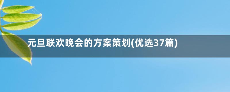 元旦联欢晚会的方案策划(优选37篇)