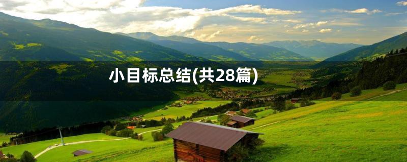 小目标总结(共28篇)