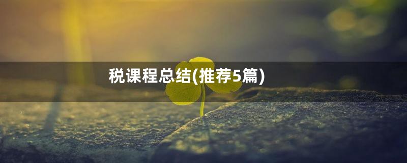 税课程总结(推荐5篇)