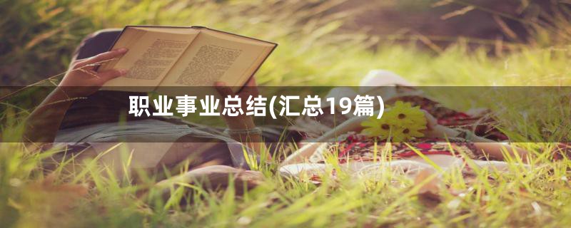 职业事业总结(汇总19篇)