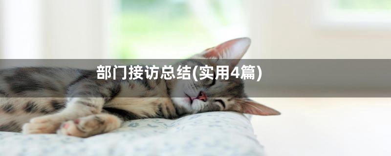 部门接访总结(实用4篇)