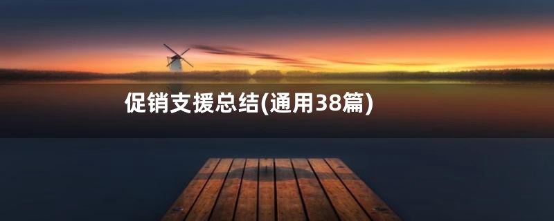 促销支援总结(通用38篇)