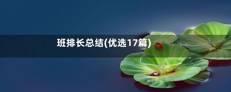 班排长总结(优选17篇)