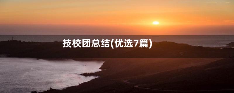 技校团总结(优选7篇)