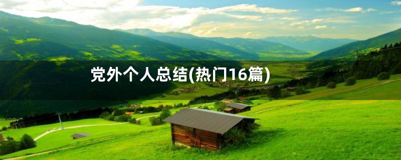 党外个人总结(热门16篇)