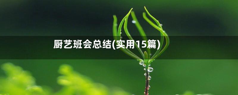 厨艺班会总结(实用15篇)