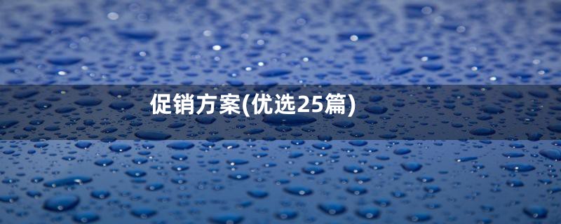 促销方案(优选25篇)