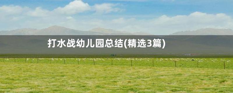 打水战幼儿园总结(精选3篇)