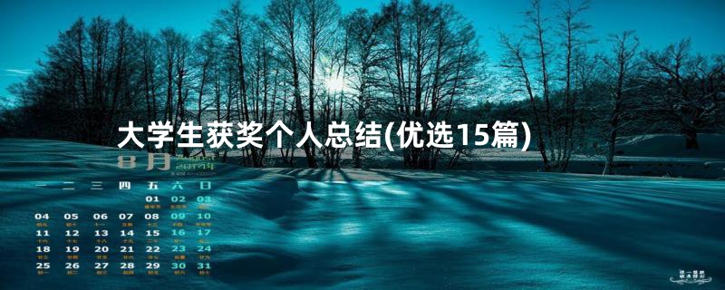 大学生获奖个人总结(优选15篇)
