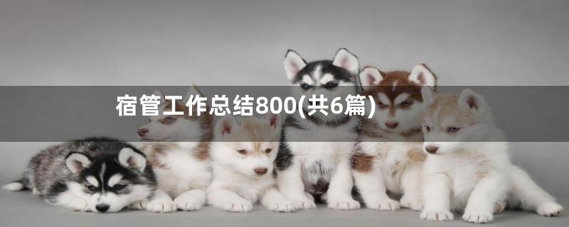 宿管工作总结800(共6篇)