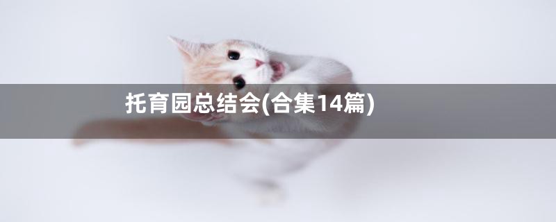 托育园总结会(合集14篇)