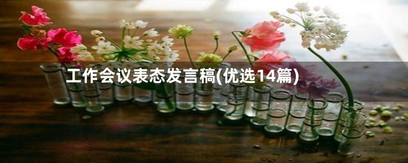 工作会议表态发言稿(优选14篇)