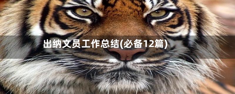 出纳文员工作总结(必备12篇)