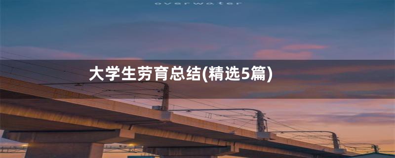 大学生劳育总结(精选5篇)