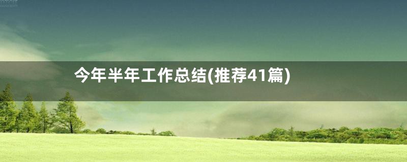 今年半年工作总结(推荐41篇)