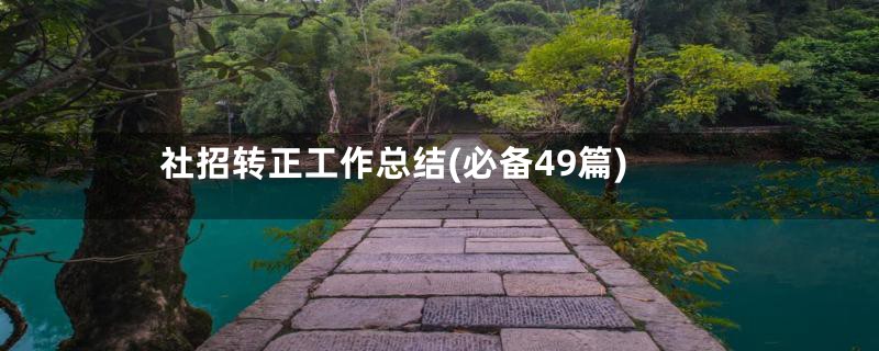 社招转正工作总结(必备49篇)