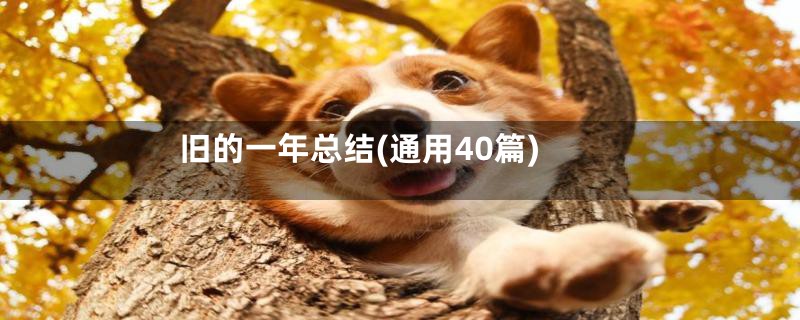 旧的一年总结(通用40篇)