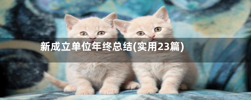新成立单位年终总结(实用23篇)