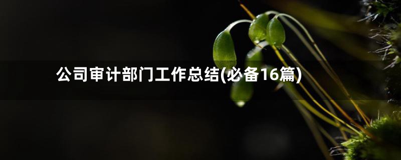 公司审计部门工作总结(必备16篇)