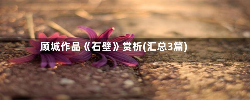 顾城作品《石壁》赏析(汇总3篇)