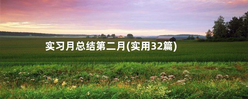 实习月总结第二月(实用32篇)