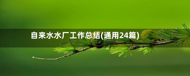 自来水水厂工作总结(通用24篇)