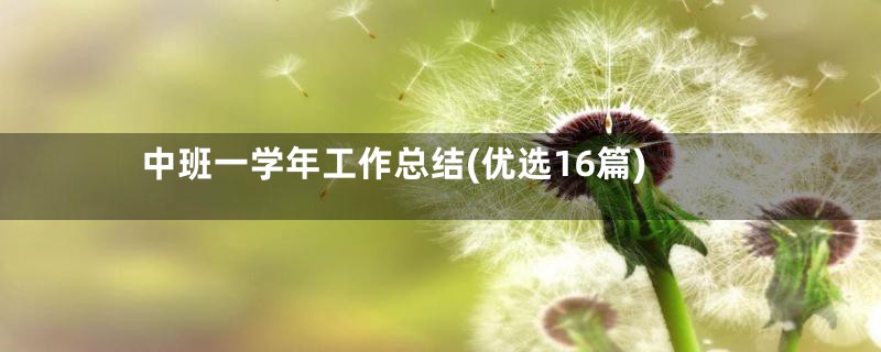 中班一学年工作总结(优选16篇)