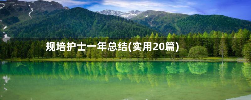 规培护士一年总结(实用20篇)