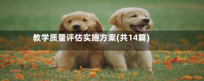 教学质量评估实施方案(共14篇)