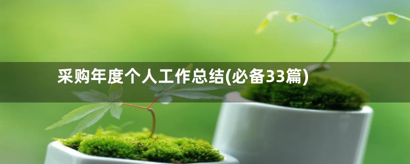 采购年度个人工作总结(必备33篇)