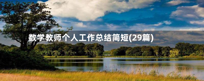数学教师个人工作总结简短(29篇)