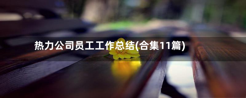 热力公司员工工作总结(合集11篇)