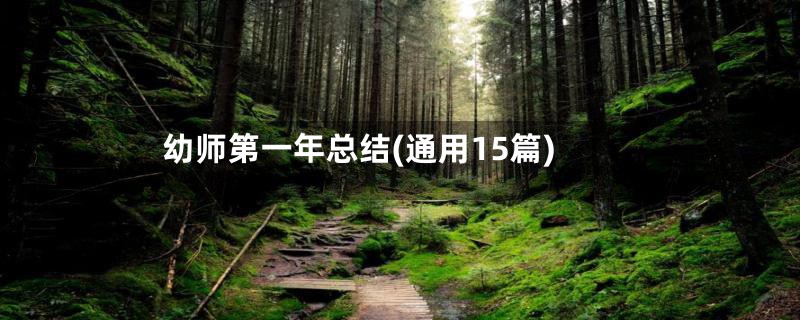 幼师第一年总结(通用15篇)